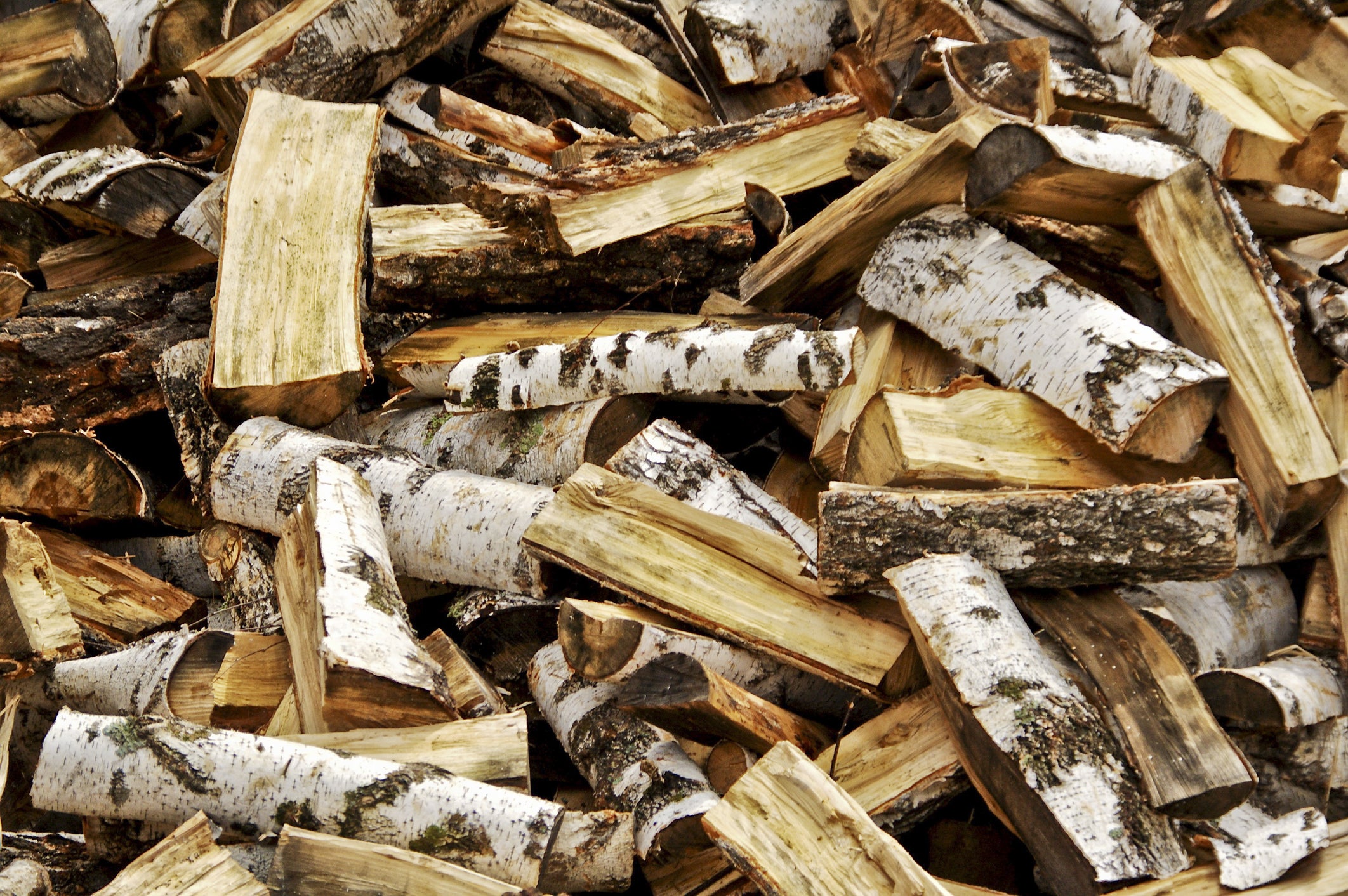 Firewood Combo (12"): Birch & Mixed Hardwood